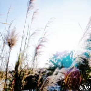 #Light up my world(‪@yotocapone@jun12s‬)