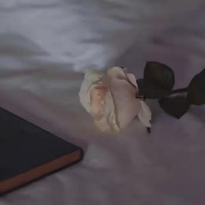 她离开后我也没有多快乐（Prod.Gun诺黎）