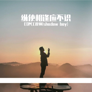 纵使相逢应不识