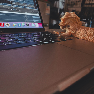 天山摇摆客DyoSeLF在售的Beats vol.1