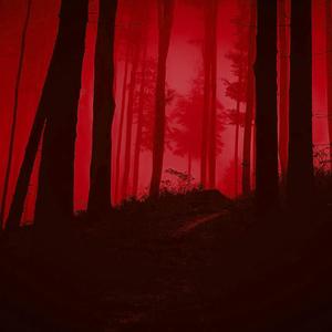 woods (slowed + reverb)