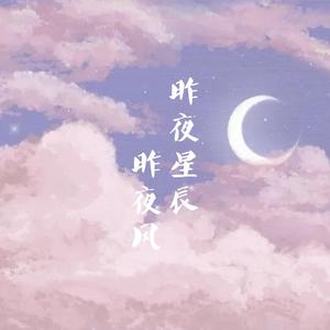 昨夜星辰昨夜风