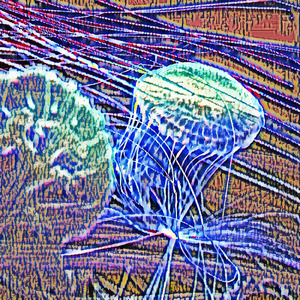 Gullseclipse Capitoline