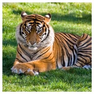 Chase Master Money (feat. Lockett Monserrate & Bustane M)