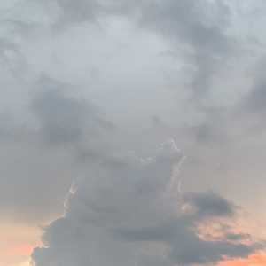 只要你在我生命途径