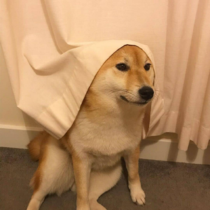 无题（吉他指弹）（陈亮）