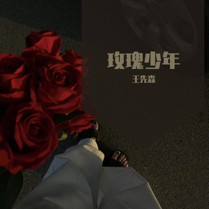 玫瑰少年（小提琴版）0.8×