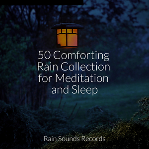 Feathered Sunbathers