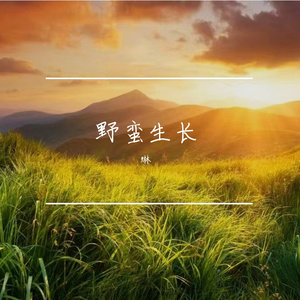 野蛮生长