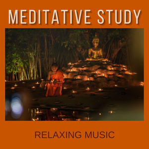 Relaxing Sleep Music