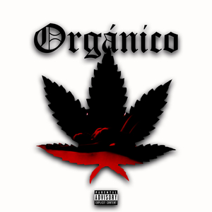Orgánico