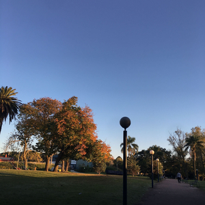 Me Estoy Serenando (instrumental)