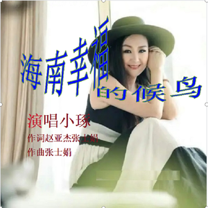 海南幸福的候鸟 伴奏