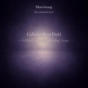 細胞が休む場所