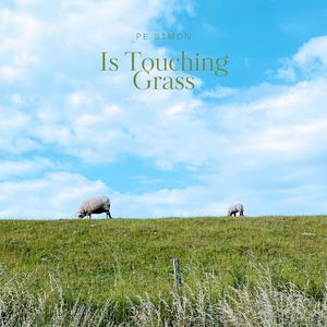 Is Touching Grass