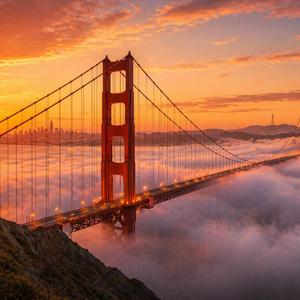 Golden Digital Coast