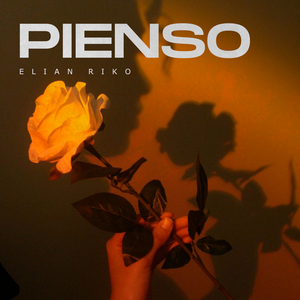Pienso