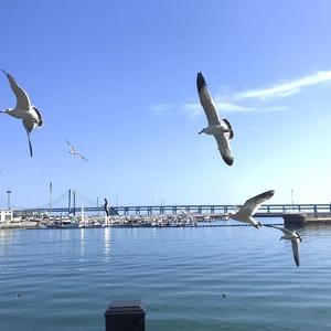 关于郑州的记忆（翻自 李志）