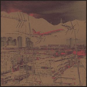 喝咖啡，从早喝到死