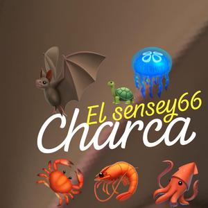 Charca