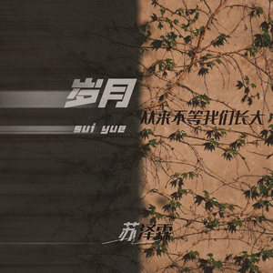 岁月从来不等我们长大