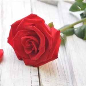 kara marwayit（黑色皮肤的姑娘）