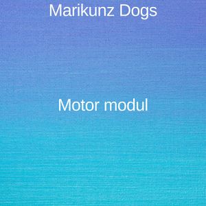 Motor modul