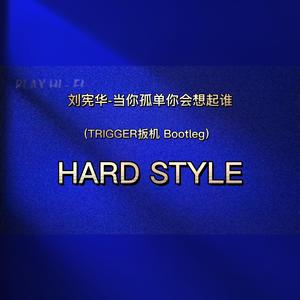 刘宪华 -当你孤单你会想起谁(TRIGGER扳机 Bootleg)