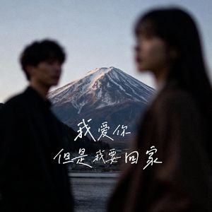 我爱你但是我要回家