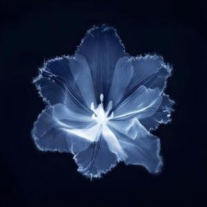 You Broke My Heart (Afterhour)