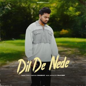 Dil De Nede