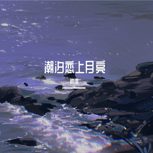 潮汐恋上月亮