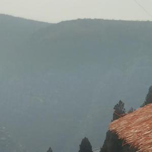 世间美好，与你环环相扣 cover柏松