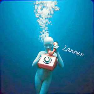 殘念 Zannen (Electronics)