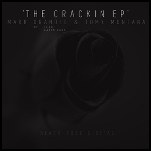 The Sea (Aaron Mash Remix)