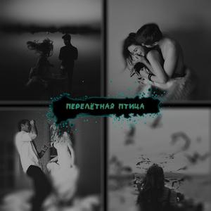 Перелётная птица