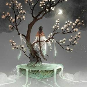 梨花凉（翻自 叶洛洛）