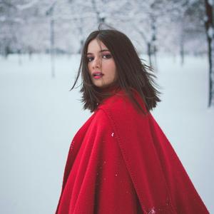 Snow Morning Silence