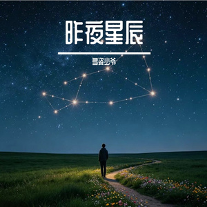 昨夜星辰