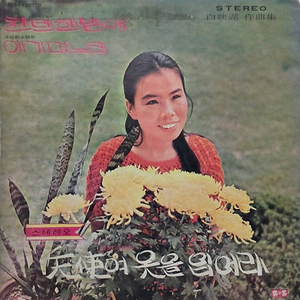 찬란한 밤에