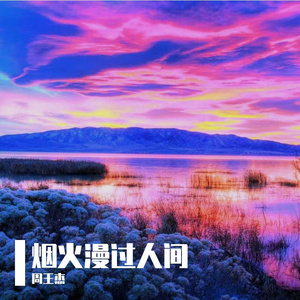 半生风雨半生伤