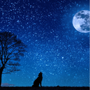 水星remix ＜龍鬼＞