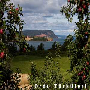 Boztepe'nin Başında