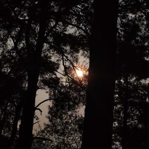 山间同行的是你残影