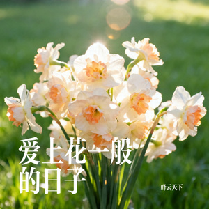 爱上花一般的日子