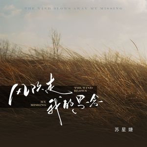 风吹走我的思念（校园广播版）
