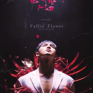 舞い落ちる花びら(Fallin' Flower)（翻自 SEVENTEEN）