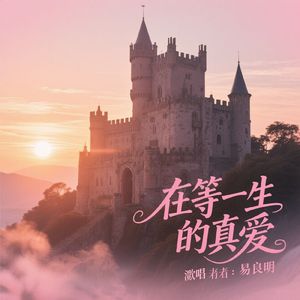 在等一生的真爱 伴奏