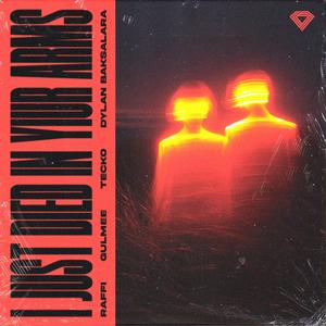 (I Just) Died in Your Arms (Techno Mix)