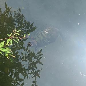 You're the hardest lesson that I had to learn